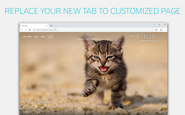 Cute Kittens & Kitty Cats Wallpaper HD NewTab chrome谷歌浏览器插件_扩展第4张截图