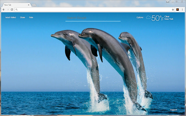 Dolphins Wallpaper HD New Tab - freeaddon.com chrome谷歌浏览器插件_扩展第4张截图
