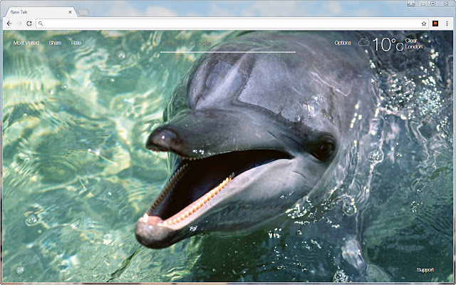 Dolphins Wallpaper HD New Tab - freeaddon.com chrome谷歌浏览器插件_扩展第3张截图