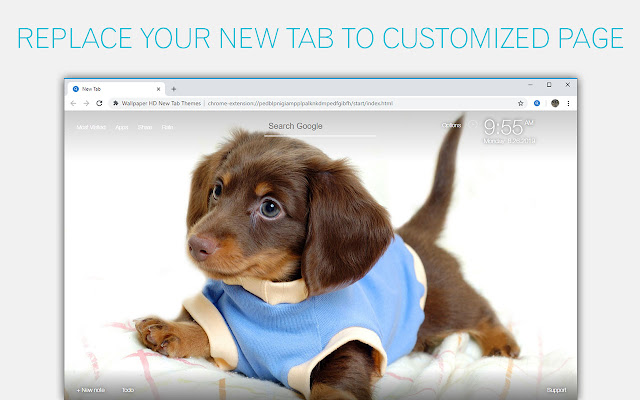 Cute Dogs & Puppies Custom Dog & Puppy NewTab chrome谷歌浏览器插件_扩展第1张截图