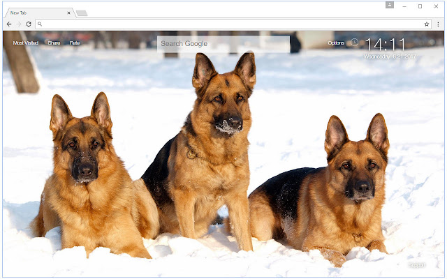 German Shepherd Wallpaper Custom Dogs New Tab chrome谷歌浏览器插件_扩展第2张截图