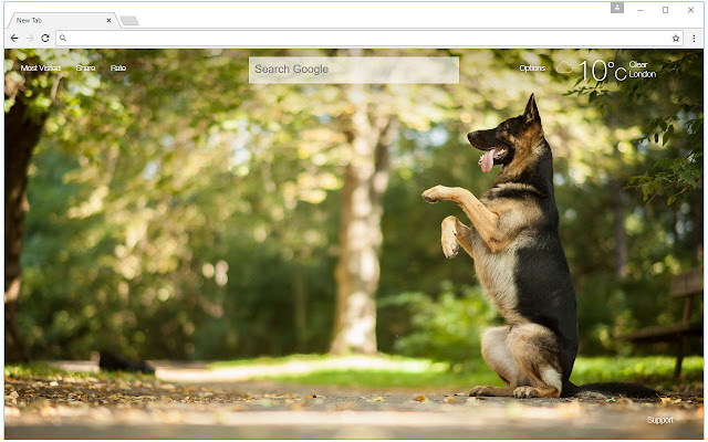 German Shepherd Wallpaper Custom Dogs New Tab chrome谷歌浏览器插件_扩展第3张截图