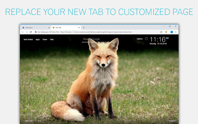 Fox Wallpapers Foxes New Tab by freeaddon.com chrome谷歌浏览器插件_扩展第1张截图