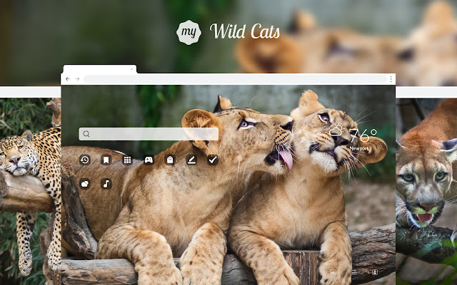 My Wild Cats HD Big Cat Wallpapers New Tab chrome谷歌浏览器插件_扩展第1张截图