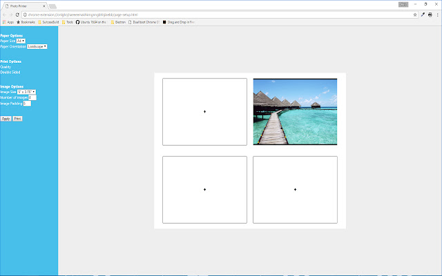 Picture Printer chrome谷歌浏览器插件_扩展第1张截图