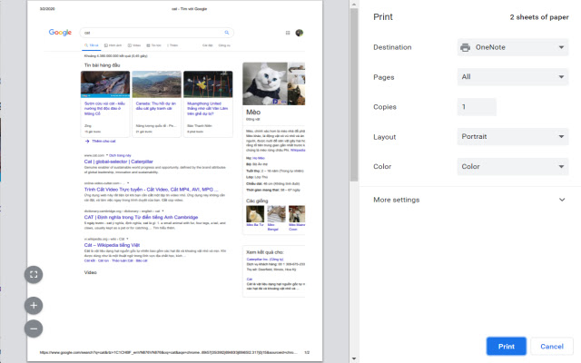 为Google Chrome™打印 chrome谷歌浏览器插件_扩展第1张截图