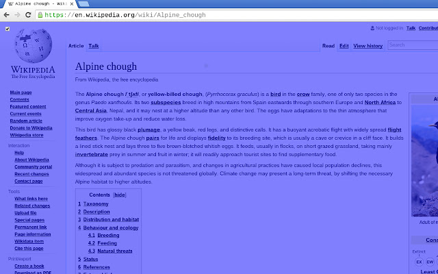 Dyslexia Aid chrome谷歌浏览器插件_扩展第1张截图