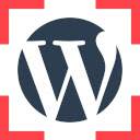 Detect WordPress themes & plugins