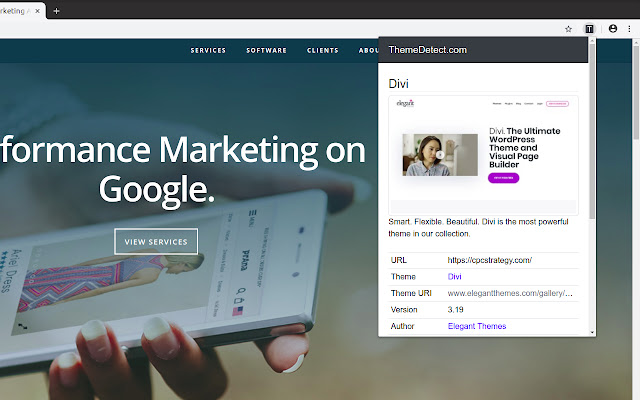 WordPress Theme Detection - ThemeDetect.com chrome谷歌浏览器插件_扩展第1张截图