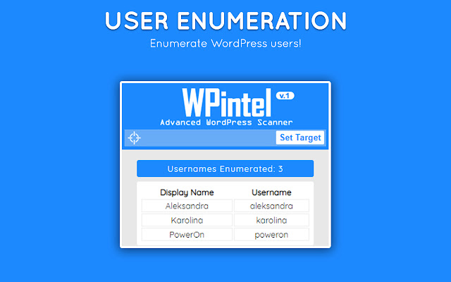 WPintel - WordPress Vulnerability Scanner chrome谷歌浏览器插件_扩展第3张截图