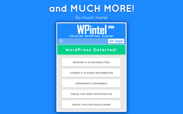 WPintel - WordPress Vulnerability Scanner chrome谷歌浏览器插件_扩展第4张截图