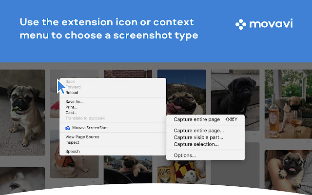 Movavi ScreenShot Chrome Extension chrome谷歌浏览器插件_扩展第2张截图