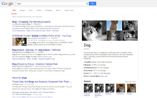 Pics to Kittens chrome谷歌浏览器插件_扩展第1张截图
