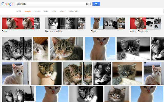 Pics to Kittens chrome谷歌浏览器插件_扩展第2张截图