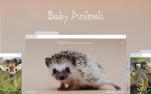 Baby Animals HD Wallpaper New Tab Theme chrome谷歌浏览器插件_扩展第1张截图