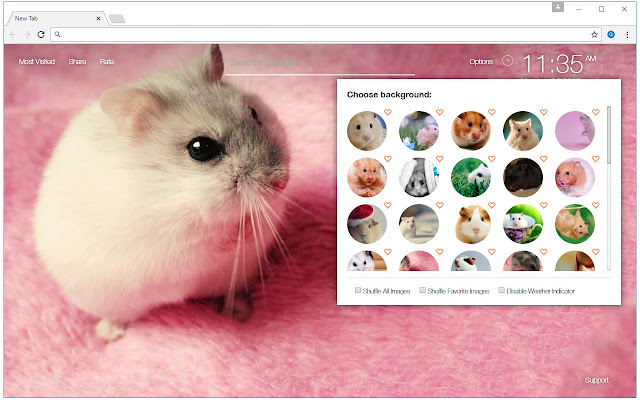 Hamster Wallpapers HD Custom Hamsters New Tab chrome谷歌浏览器插件_扩展第1张截图