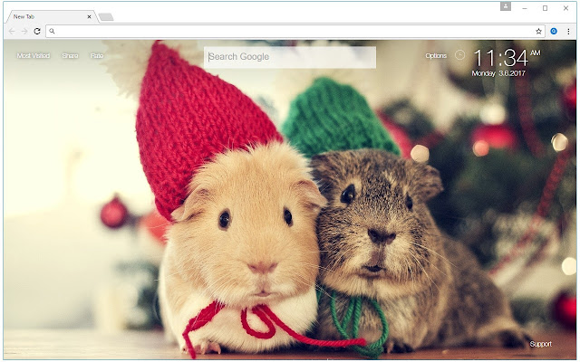 Hamster Wallpapers HD Custom Hamsters New Tab chrome谷歌浏览器插件_扩展第2张截图