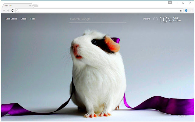 Hamster Wallpapers HD Custom Hamsters New Tab chrome谷歌浏览器插件_扩展第3张截图