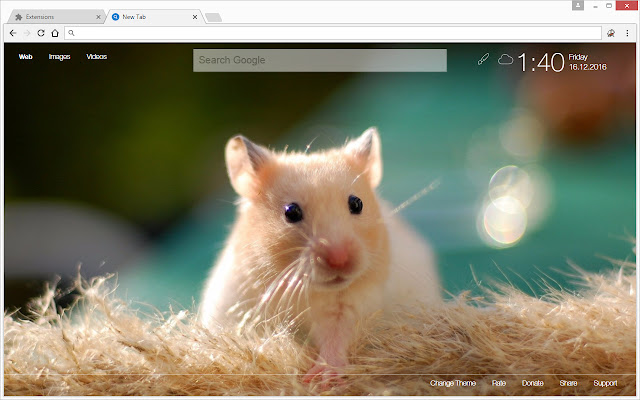 Hamster Wallpapers HD Custom Hamsters New Tab chrome谷歌浏览器插件_扩展第4张截图