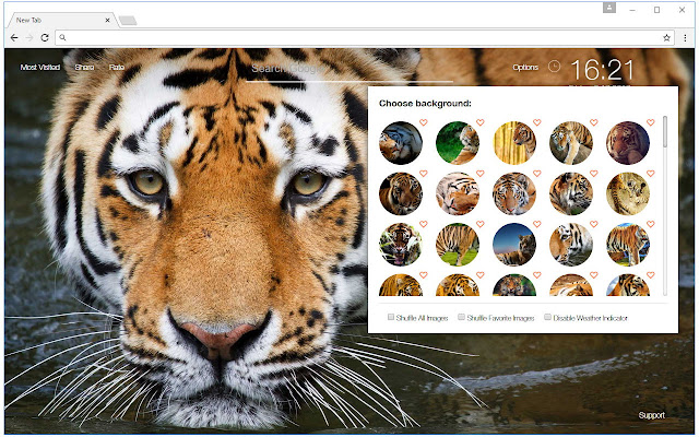 Tiger Wallpapers Tigers New Tab freeaddon.com chrome谷歌浏览器插件_扩展第1张截图