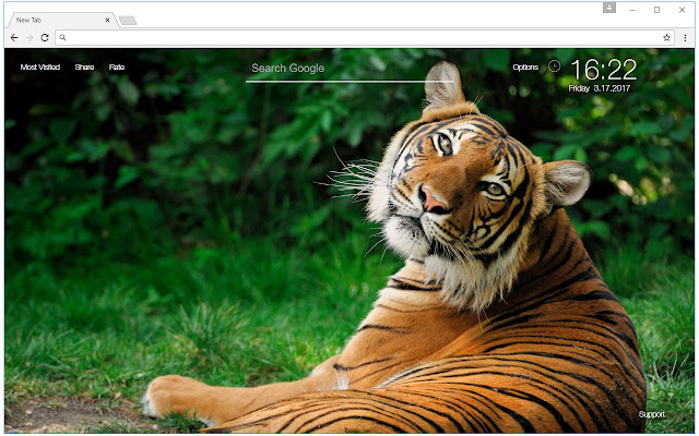 Tiger Wallpapers Tigers New Tab freeaddon.com chrome谷歌浏览器插件_扩展第2张截图