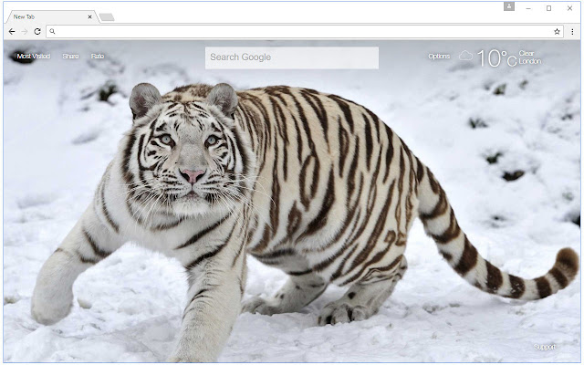 Tiger Wallpapers Tigers New Tab freeaddon.com chrome谷歌浏览器插件_扩展第3张截图