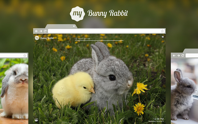 My Bunny Rabbit HD Wallpapers New Tab Theme chrome谷歌浏览器插件_扩展第1张截图