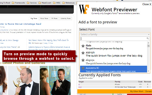 Webfont Previewer chrome谷歌浏览器插件_扩展第1张截图