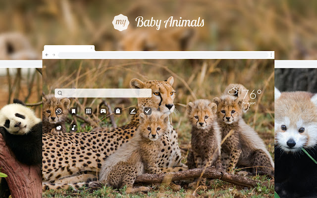 My Baby Animals HD Wallpapers New Tab Theme chrome谷歌浏览器插件_扩展第1张截图