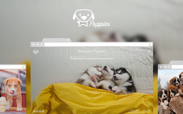 Puppies HD Wallpapers New Tab Theme chrome谷歌浏览器插件_扩展第1张截图