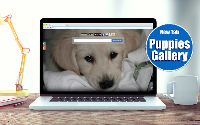*NEW* Puppies HD Wallpapers New Tab Theme chrome谷歌浏览器插件_扩展第1张截图