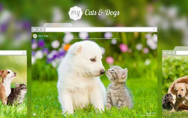 My Cats & Dogs Cute Cat Dog Kitten Wallpapers chrome谷歌浏览器插件_扩展第1张截图