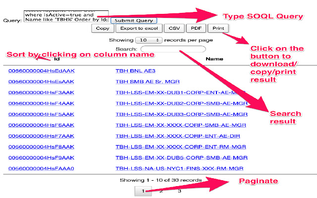 Run Force.com SOQL Paginated chrome谷歌浏览器插件_扩展第1张截图