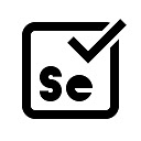 Selenium Capture + Excel Generator