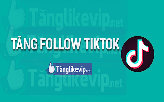 Tăng Follow Theo Dõi TikTok chrome谷歌浏览器插件_扩展第1张截图