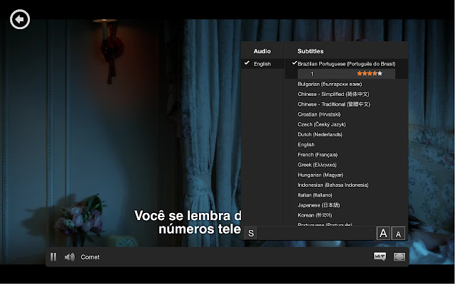 Netflix Subtitles Automatic (beta) chrome谷歌浏览器插件_扩展第1张截图