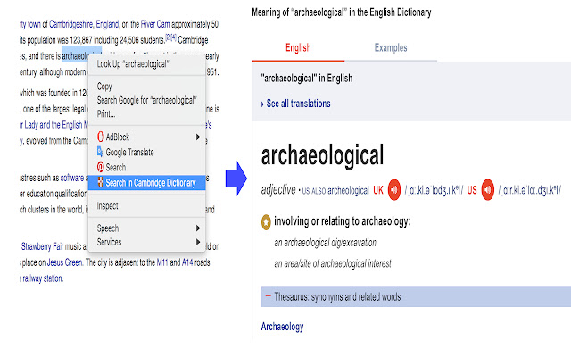 Cambridge Dictionary Search chrome谷歌浏览器插件_扩展第1张截图
