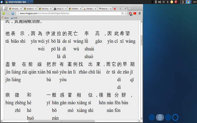 chinese pinyin chrome谷歌浏览器插件_扩展第1张截图