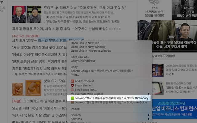 Naver Korean/English Dictionary Lookup chrome谷歌浏览器插件_扩展第1张截图