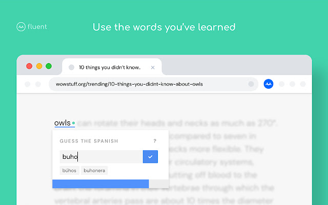 Fluent - Language learning while you browse chrome谷歌浏览器插件_扩展第4张截图