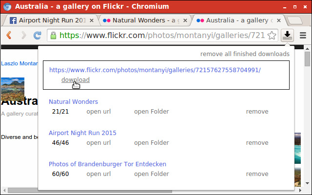 Gallery Downloader chrome谷歌浏览器插件_扩展第1张截图