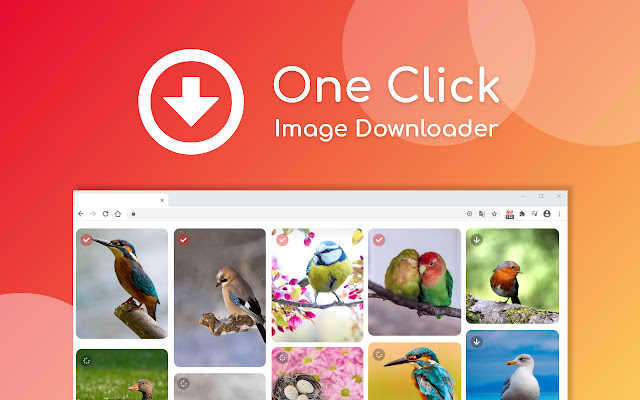 One Click Image Downloader chrome谷歌浏览器插件_扩展第1张截图