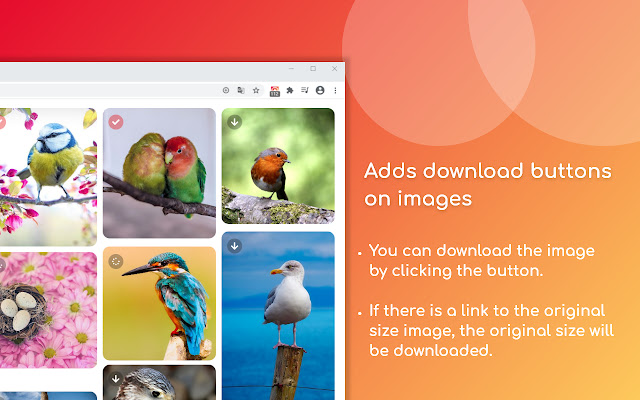 One Click Image Downloader chrome谷歌浏览器插件_扩展第2张截图