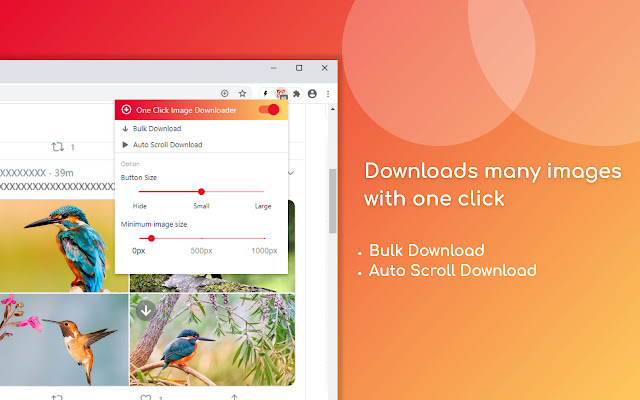 One Click Image Downloader chrome谷歌浏览器插件_扩展第3张截图