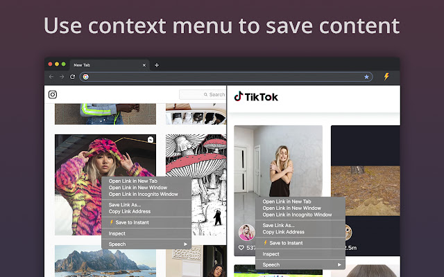 Instant - Instagram™ and TikTok™ Downloader chrome谷歌浏览器插件_扩展第1张截图