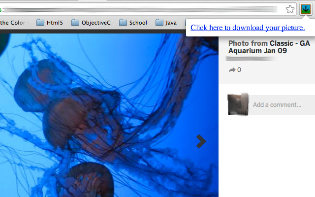 Myspace Picture Downloader chrome谷歌浏览器插件_扩展第1张截图