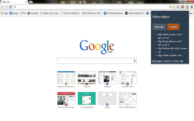 Hibernation chrome谷歌浏览器插件_扩展第3张截图