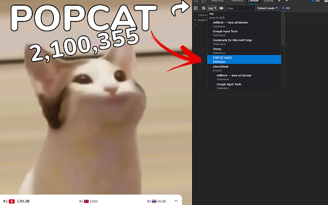 POPCAT HACK chrome谷歌浏览器插件_扩展第2张截图