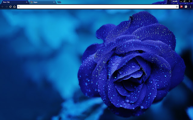 Blue Rose chrome谷歌浏览器插件_扩展第1张截图