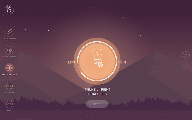 ZenFoci - Cultivate & Restore Focus chrome谷歌浏览器插件_扩展第2张截图